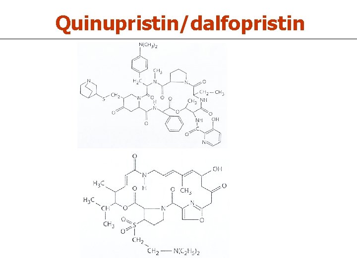 Quinupristin/dalfopristin 