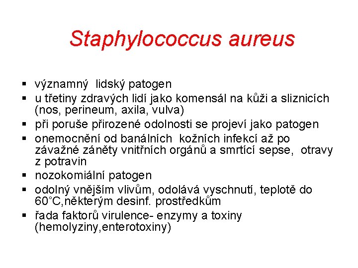 Staphylococcus aureus § významný lidský patogen § u třetiny zdravých lidí jako komensál na