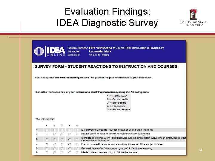 Evaluation Findings: IDEA Diagnostic Survey 14 