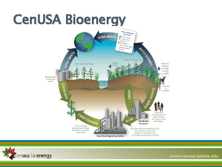 Cen. USA Bioenergy 