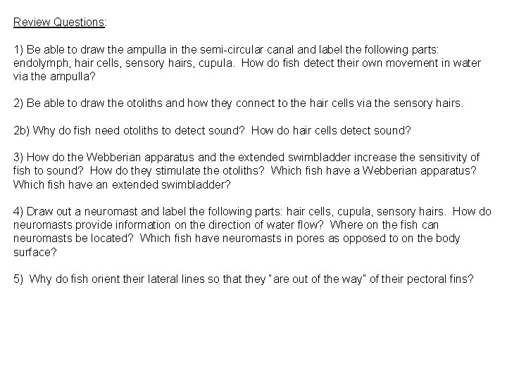 Review Questions: 1) Be able to draw the ampulla in the semi-circular canal and