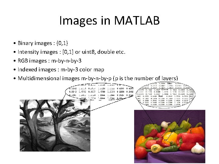 Images in MATLAB • Binary images : {0, 1} • Intensity images : [0,