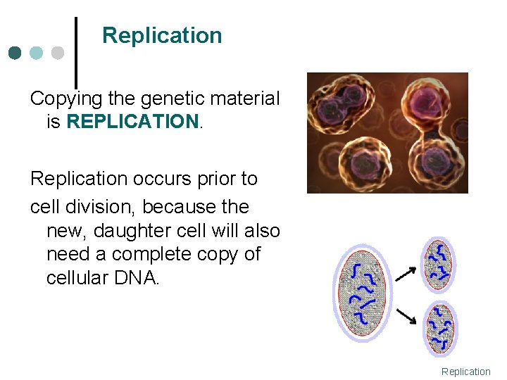 Replication Copying the genetic material is REPLICATION. Replication occurs prior to cell division, because