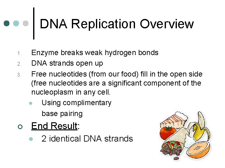 DNA Replication Overview 1. 2. 3. ¢ Enzyme breaks weak hydrogen bonds DNA strands