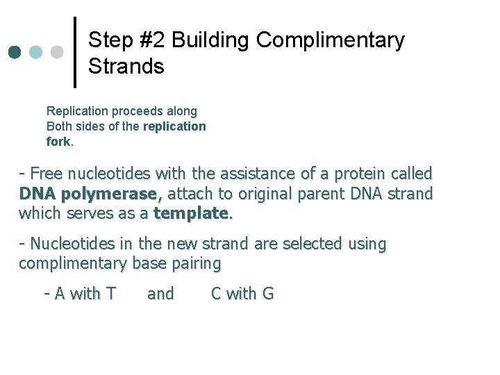 Step #2 Building Complimentary Strands Replication proceeds along Both sides of the replication fork.