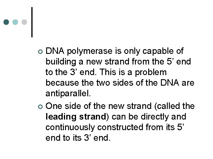 DNA polymerase is only capable of building a new strand from the 5’ end