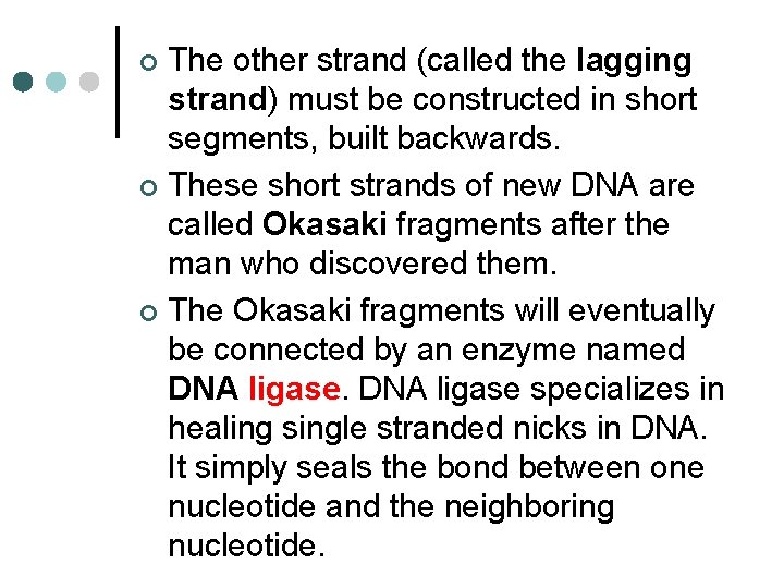 The other strand (called the lagging strand) must be constructed in short segments, built