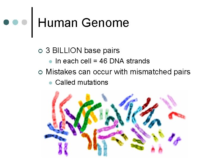 Human Genome ¢ 3 BILLION base pairs l ¢ In each cell = 46