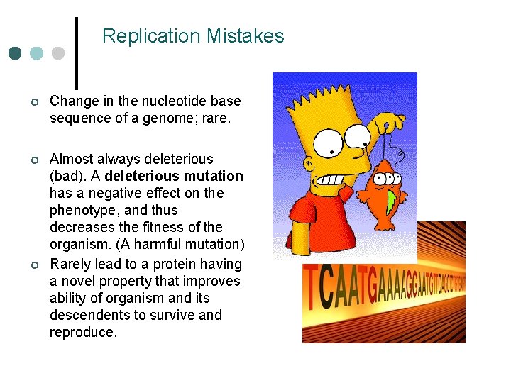 Replication Mistakes ¢ Change in the nucleotide base sequence of a genome; rare. ¢