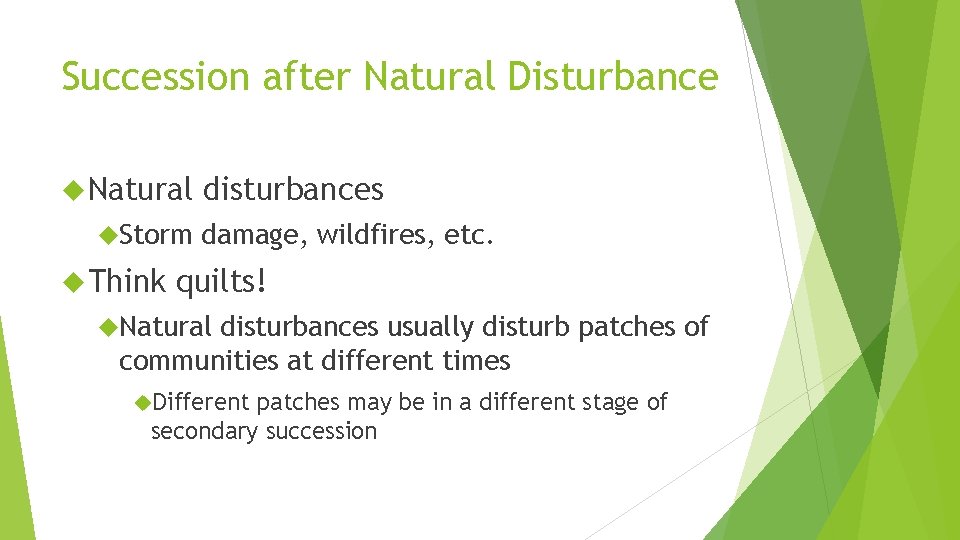 Succession after Natural Disturbance Natural Storm Think disturbances damage, wildfires, etc. quilts! Natural disturbances
