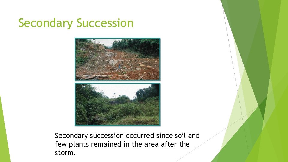 Secondary Succession Secondary succession occurred since soil and few plants remained in the area