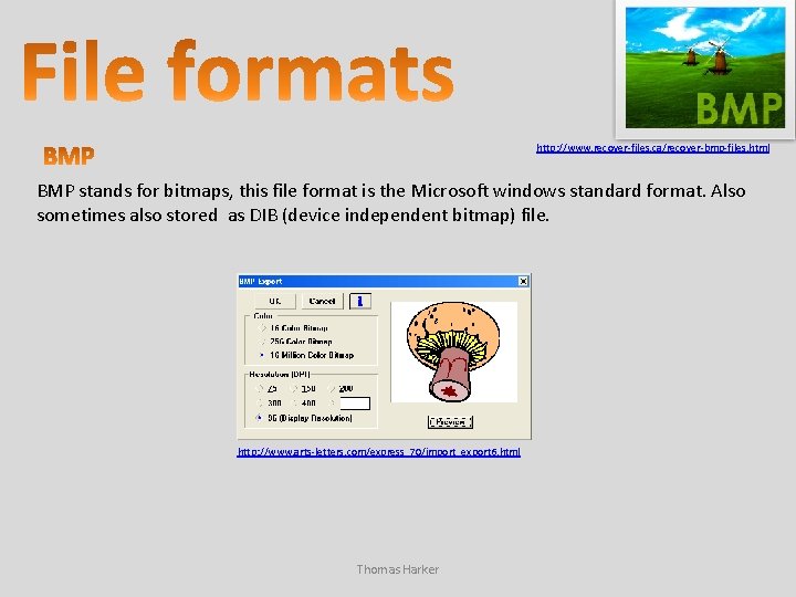 http: //www. recover-files. ca/recover-bmp-files. html BMP stands for bitmaps, this file format is the