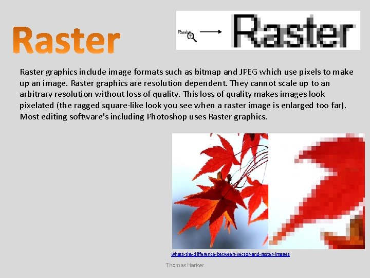 Raster graphics include image formats such as bitmap and JPEG which use pixels to
