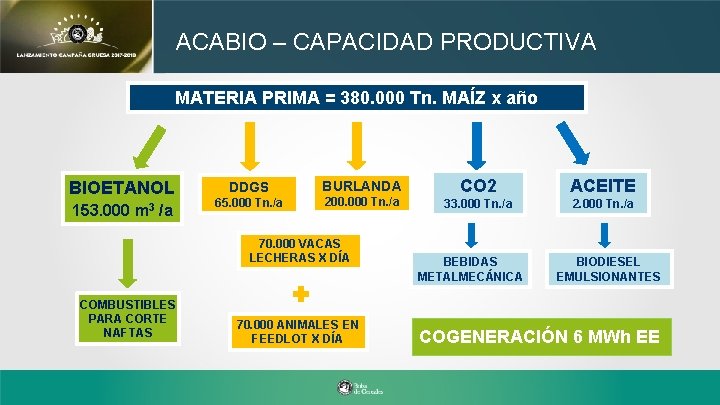 ACABIO – CAPACIDAD PRODUCTIVA MATERIA PRIMA = 380. 000 Tn. MAÍZ x año BIOETANOL