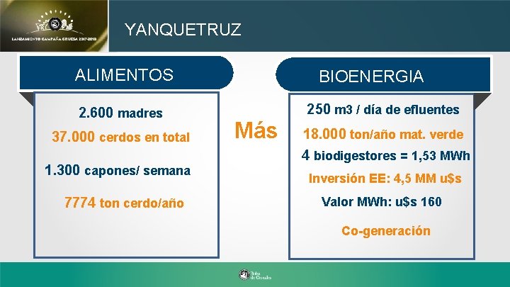 YANQUETRUZ ALIMENTOS 2. 600 madres 37. 000 cerdos en total 1. 300 capones/ semana