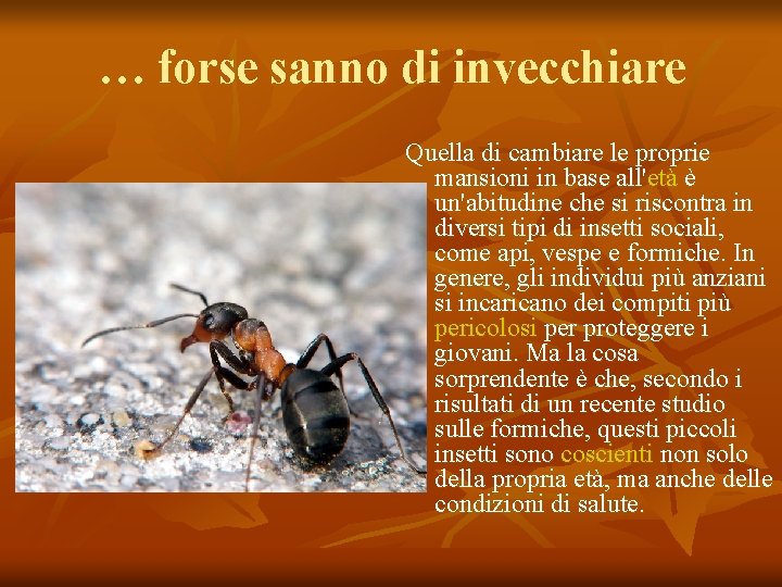 … forse sanno di invecchiare Quella di cambiare le proprie mansioni in base all'età