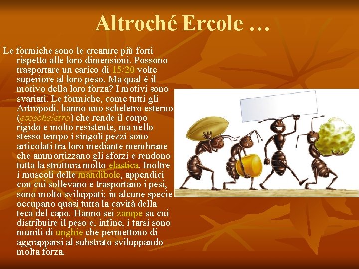 Altroché Ercole … Le formiche sono le creature più forti rispetto alle loro dimensioni.