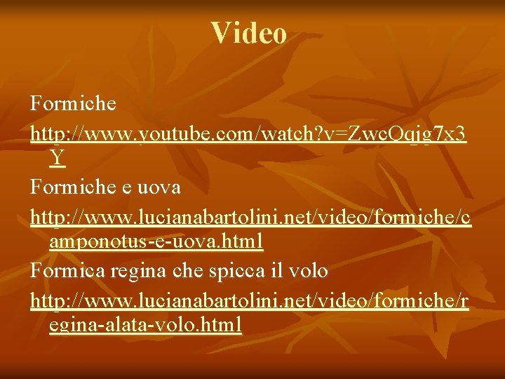 Video Formiche http: //www. youtube. com/watch? v=Zwc. Qqjg 7 x 3 Y Formiche e