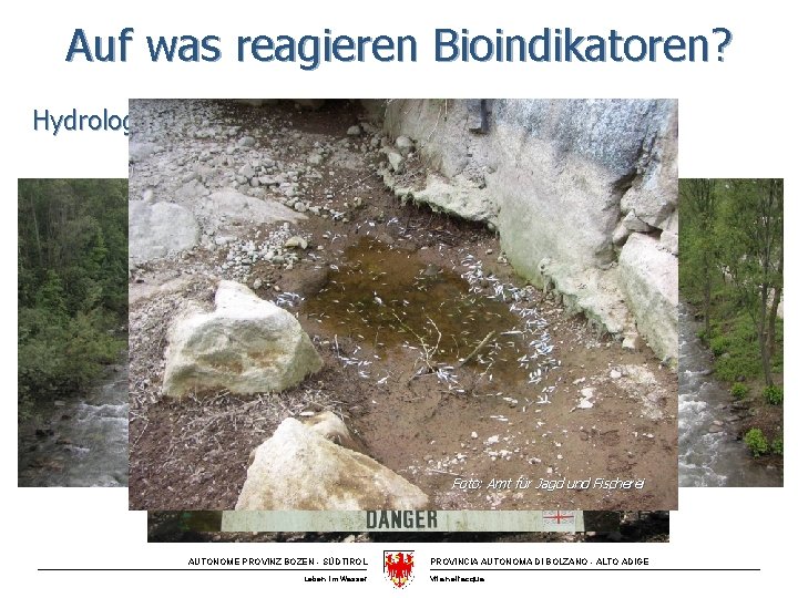 Auf was reagieren Bioindikatoren? Hydrologie Foto: Amt für Jagd und Fischerei AUTONOME PROVINZ BOZEN
