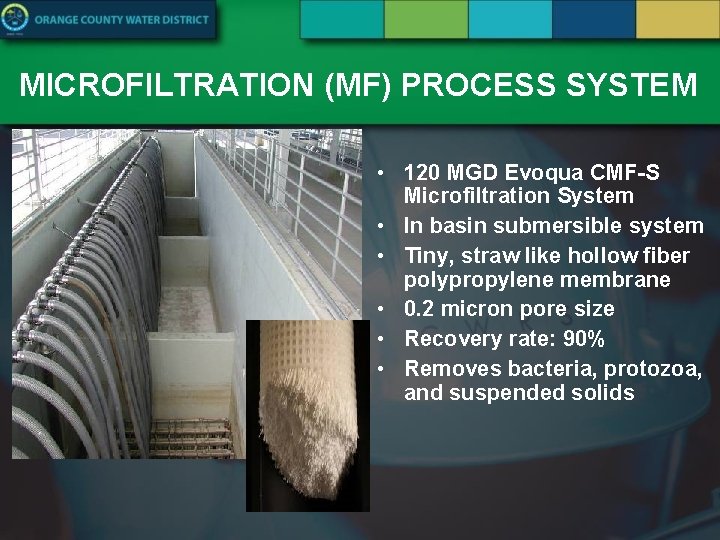 MICROFILTRATION (MF) PROCESS SYSTEM • 120 MGD Evoqua CMF-S Microfiltration System • In basin