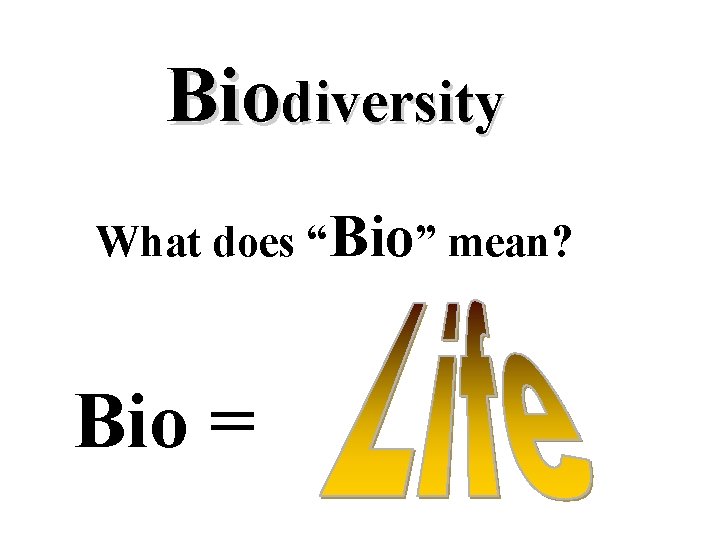 Biodiversity What does “Bio” mean? Bio = 