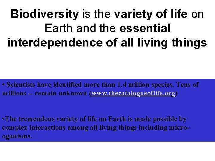 Biodiversity is the variety of life on Earth and the essential interdependence of all