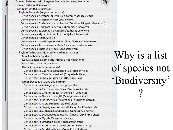 Why is a list of species not ‘Biodiversity’ ? 