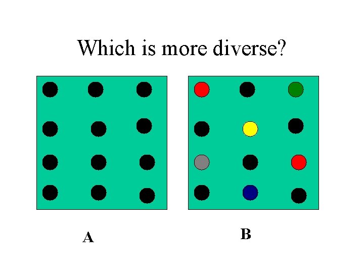 Which is more diverse? A B 