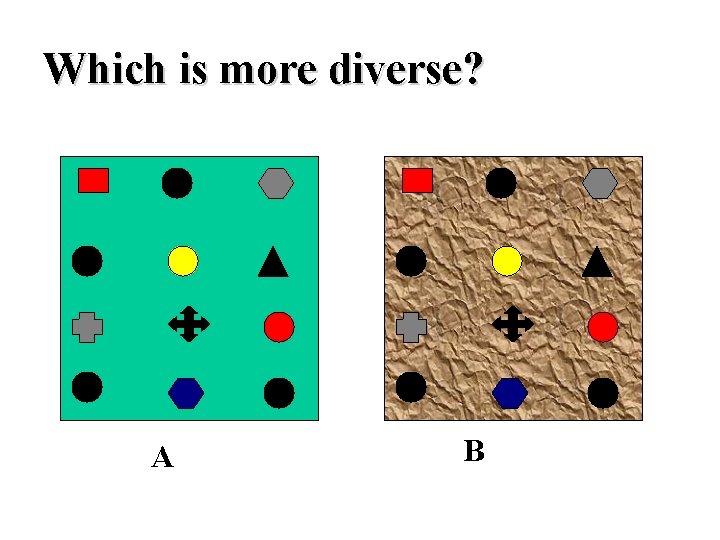 Which is more diverse? A B 
