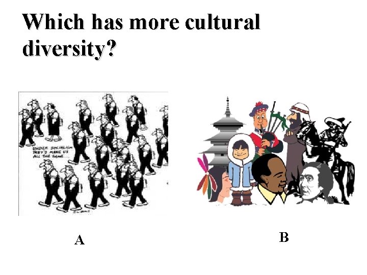 Which has more cultural diversity? A B 