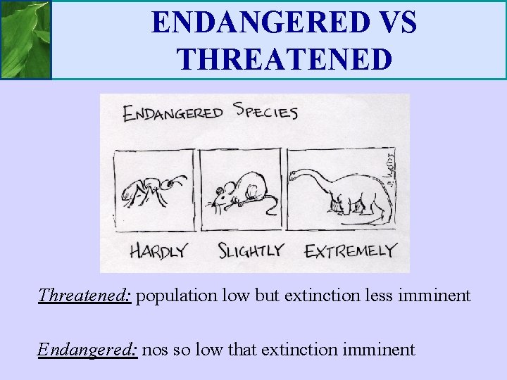 ENDANGERED VS THREATENED Threatened: population low but extinction less imminent Endangered: nos so low