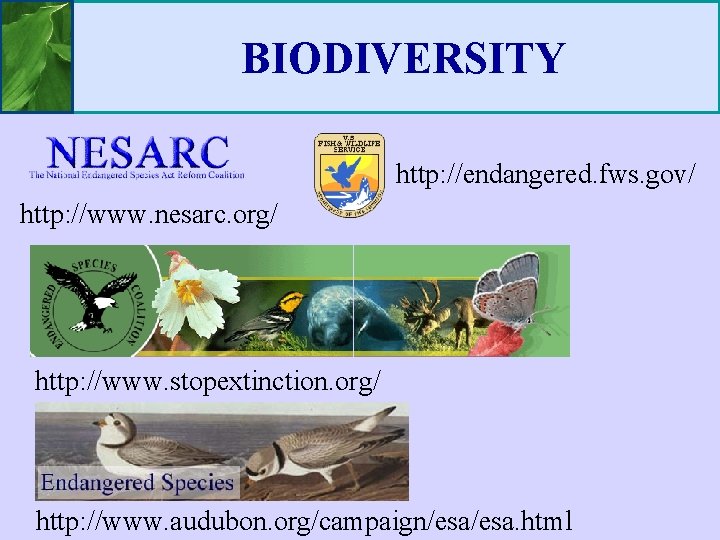 BIODIVERSITY http: //endangered. fws. gov/ http: //www. nesarc. org/ http: //www. stopextinction. org/ http: