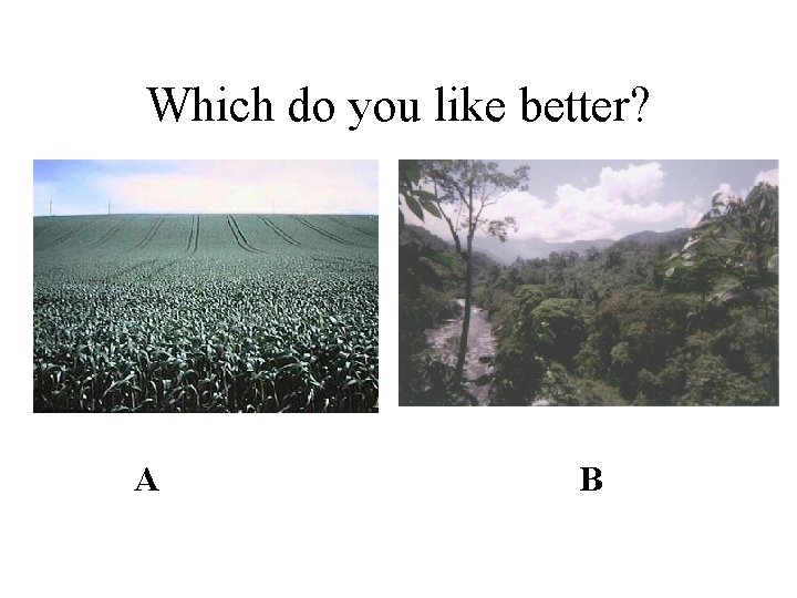 Which do you like better? A B 