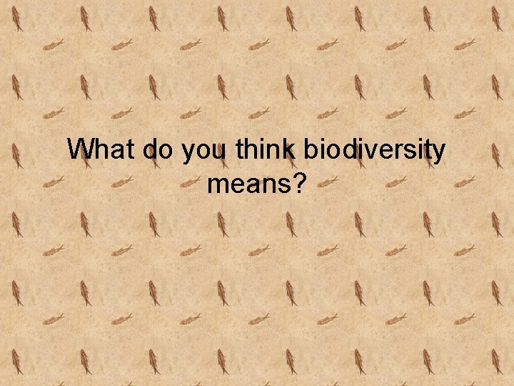 What do you think biodiversity means? 