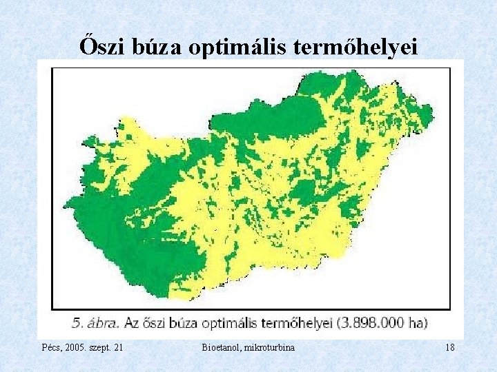 Őszi búza optimális termőhelyei Pécs, 2005. szept. 21 Bioetanol, mikroturbina 18 