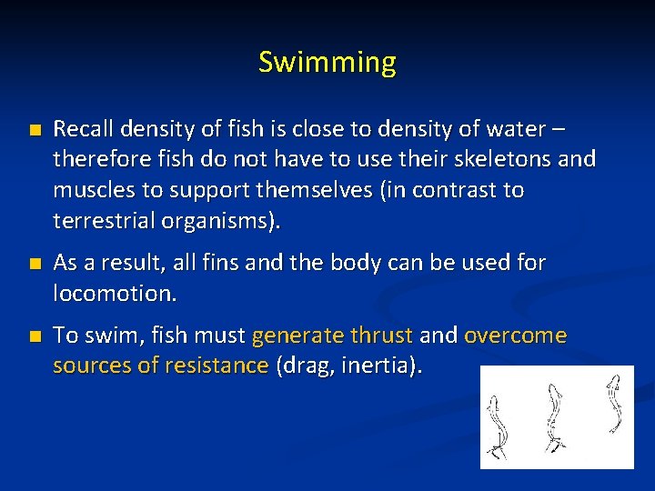 Swimming n Recall density of fish is close to density of water – therefore