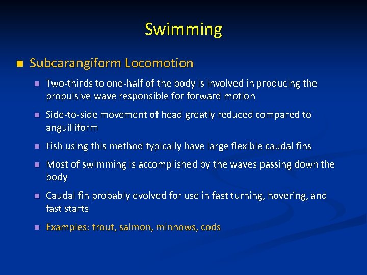 Swimming n Subcarangiform Locomotion n Two-thirds to one-half of the body is involved in