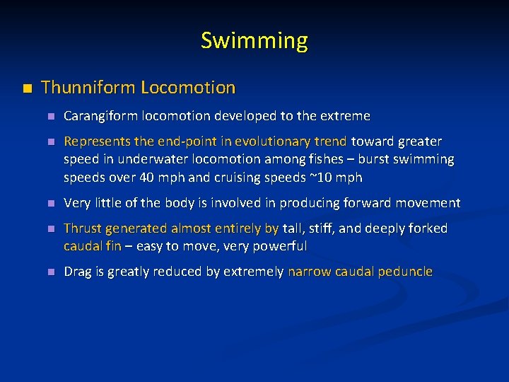 Swimming n Thunniform Locomotion n Carangiform locomotion developed to the extreme n Represents the