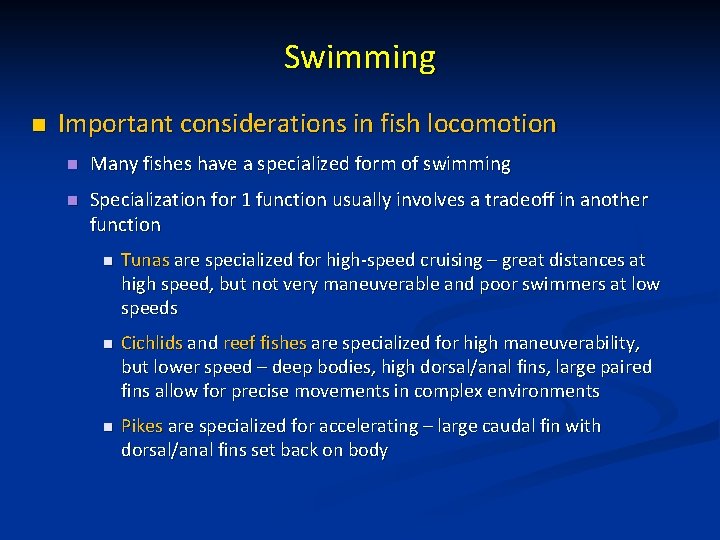 Swimming n Important considerations in fish locomotion n Many fishes have a specialized form