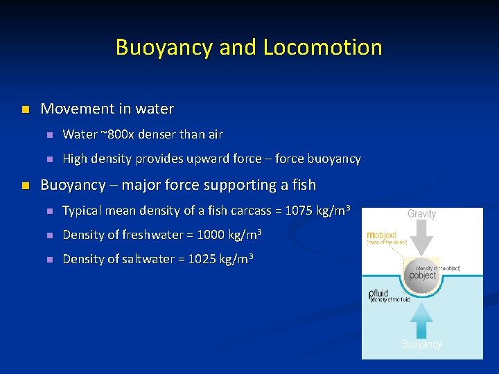 Buoyancy and Locomotion n n Movement in water n Water ~800 x denser than