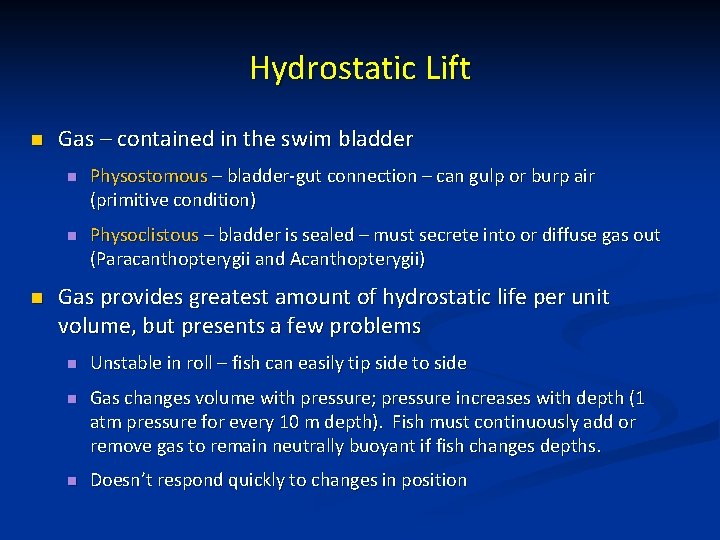 Hydrostatic Lift n n Gas – contained in the swim bladder n Physostomous –