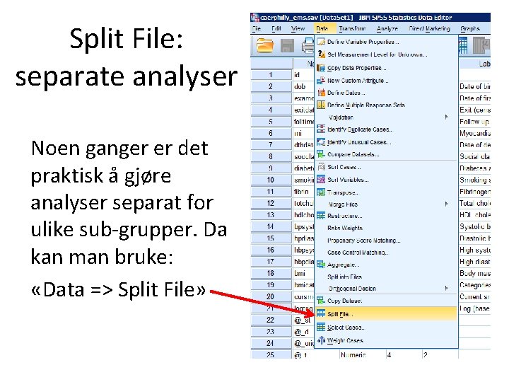 Split File: separate analyser Noen ganger er det praktisk å gjøre analyser separat for