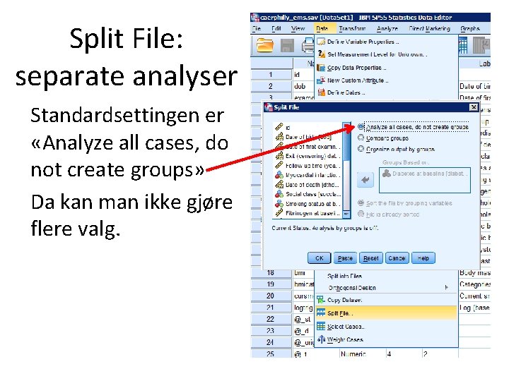 Split File: separate analyser Standardsettingen er «Analyze all cases, do not create groups» Da