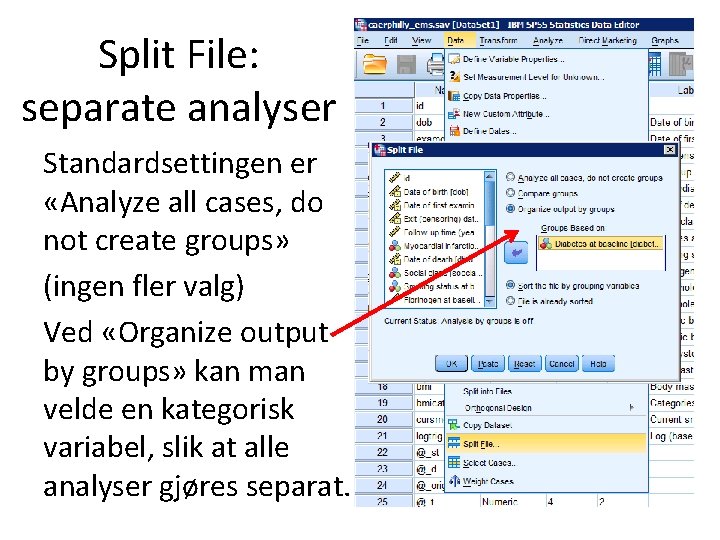 Split File: separate analyser Standardsettingen er «Analyze all cases, do not create groups» (ingen