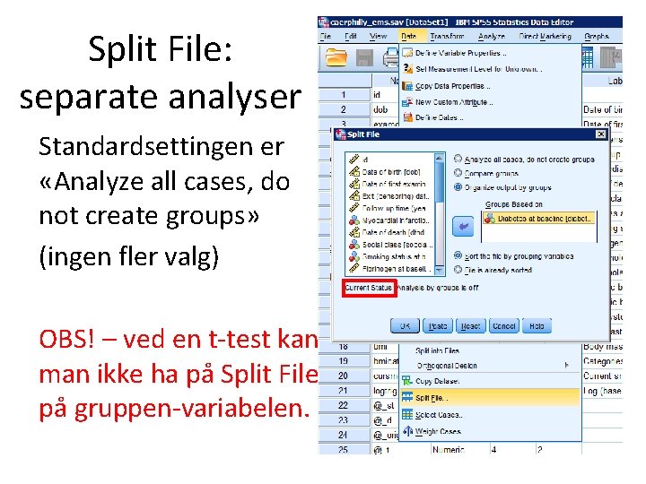 Split File: separate analyser Standardsettingen er «Analyze all cases, do not create groups» (ingen