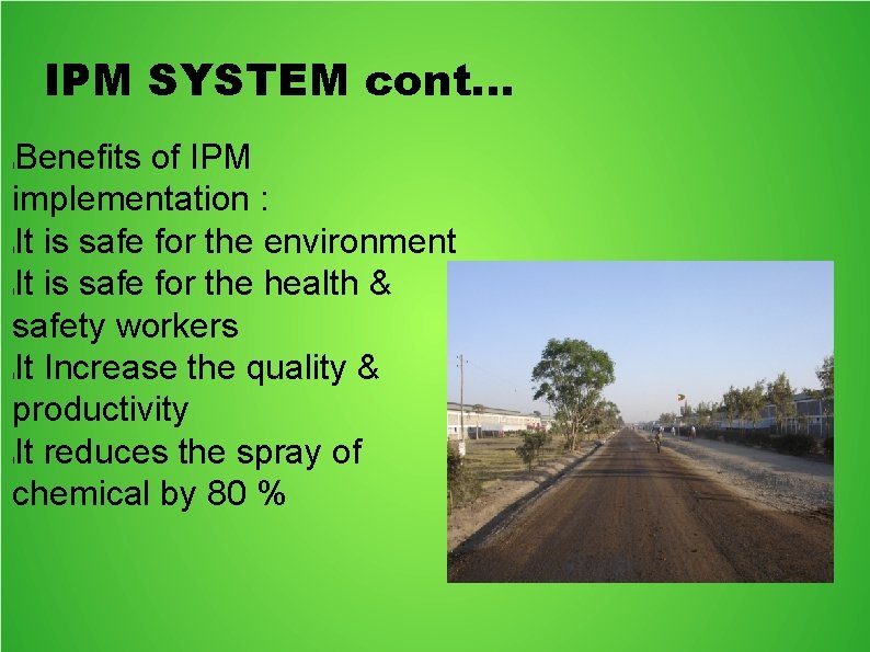 IPM SYSTEM cont. . . Benefits of IPM implementation : It is safe for