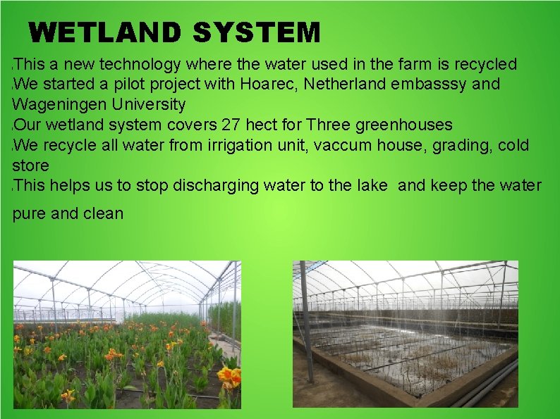 WETLAND SYSTEM This a new technology where the water used in the farm is