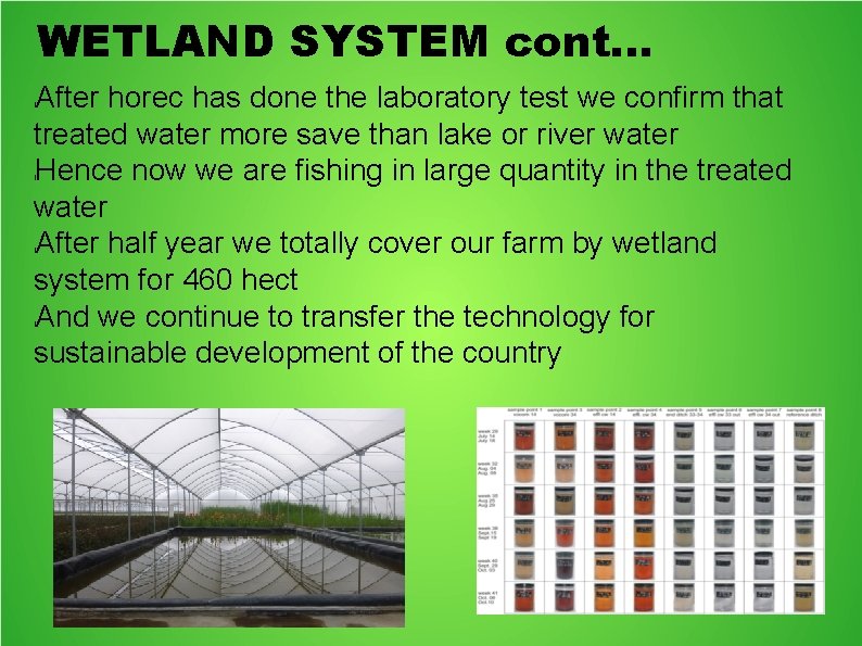 WETLAND SYSTEM cont. . . After horec has done the laboratory test we confirm