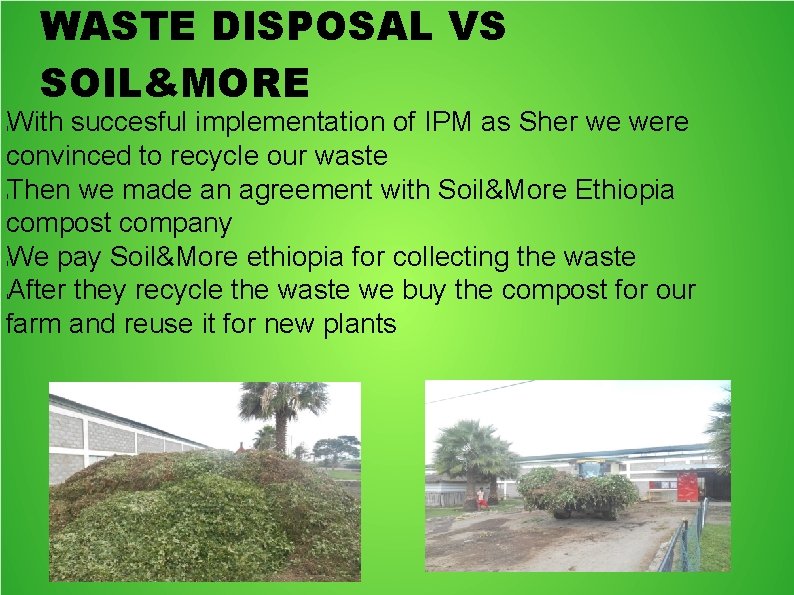 WASTE DISPOSAL VS SOIL&MORE With succesful implementation of IPM as Sher we were convinced