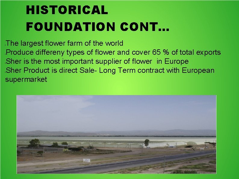 HISTORICAL FOUNDATION CONT. . . The largest flower farm of the world Produce differeny